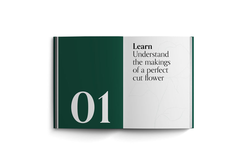 Cut Flowers - Bloom Gardeners Guide