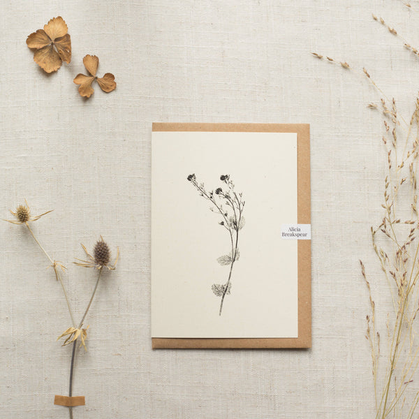 Speedwell Flower Botanical Greeting Card A6 Recycled Card