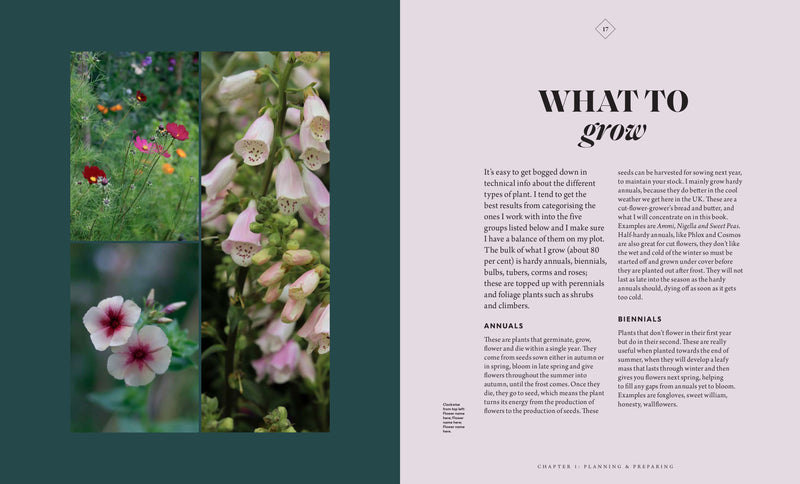 Cut Flower Growing