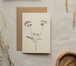 Cow parsley botanical card