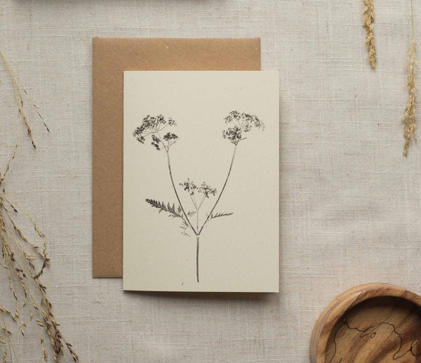 Cow parsley botanical card