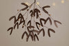 Avini Mistletoe