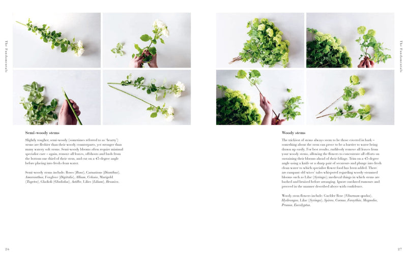 The Flower School
