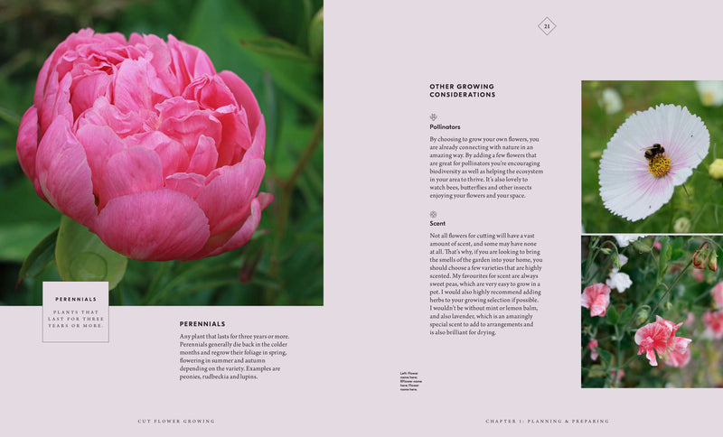 Cut Flower Growing