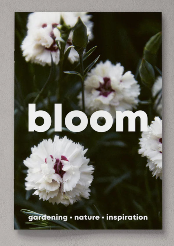 Bloom Issue 14