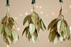 Geeti Baubles