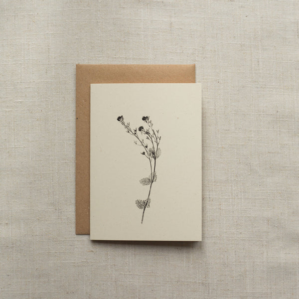 Speedwell Flower Botanical Greeting Card A6 Recycled Card