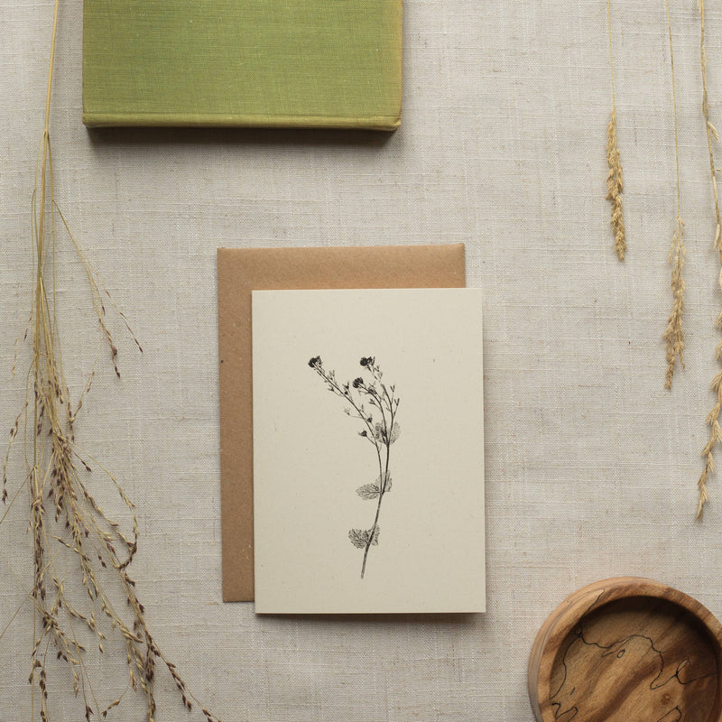 Speedwell Flower Botanical Greeting Card A6 Recycled Card