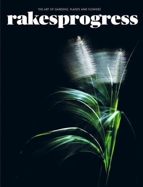 Rakesprogress Magazine Issue 15
