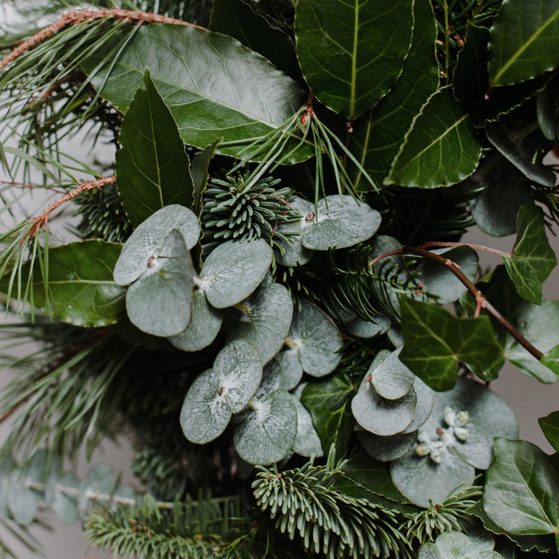 Festive Wreath Making Workshop at Aspen Florals