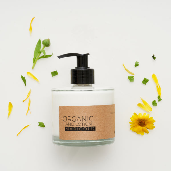 Marigold Organic Hand Lotion In Glass Pump Bottle