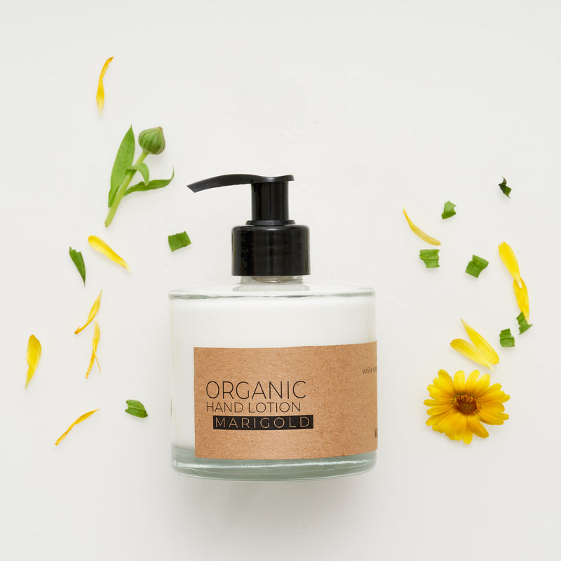 Marigold Organic Hand Lotion In Glass Pump Bottle