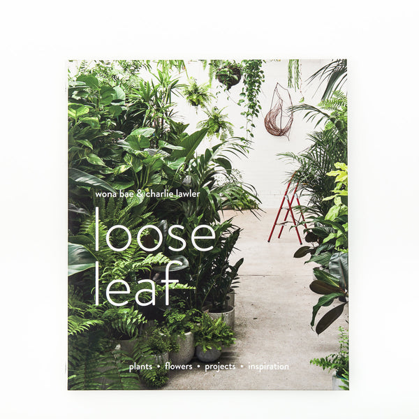 Loose Leaf