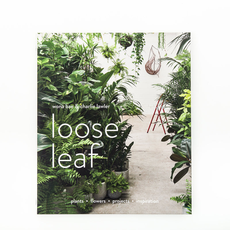 Loose Leaf