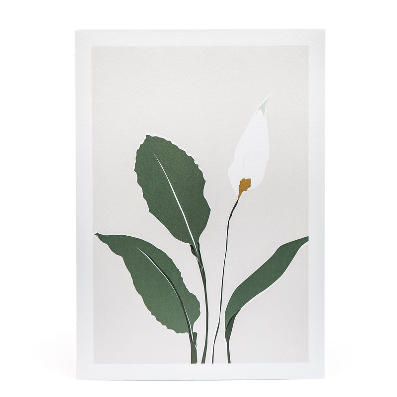 Peace Lily Artist Print