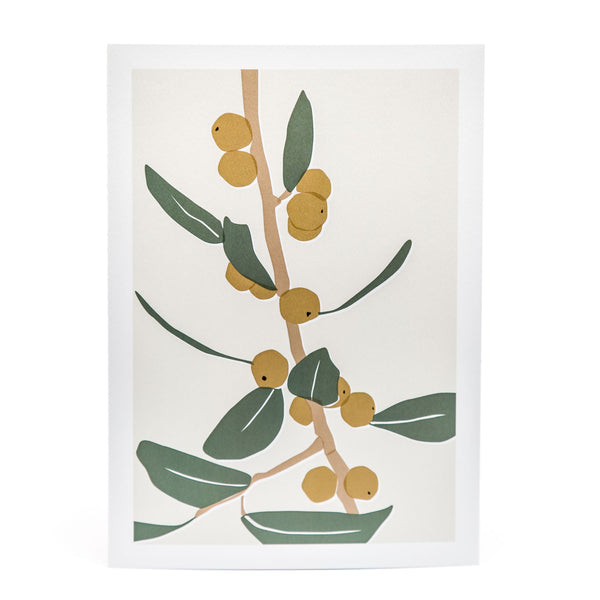 Olive Branch Artist Print