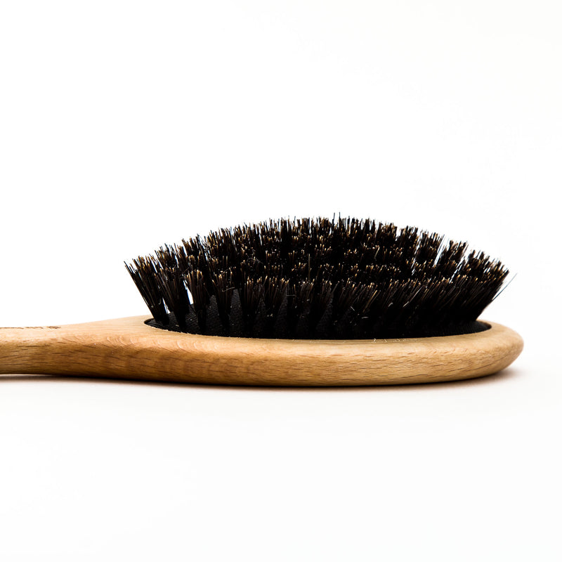 Oiled Beech & Wild Boar Bristle Hairbrush