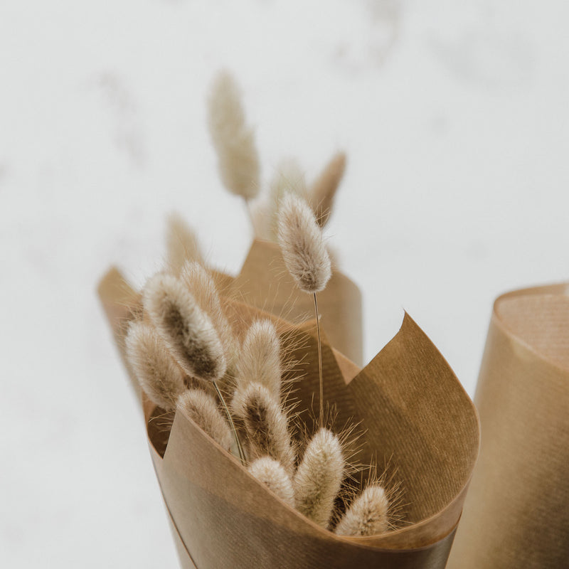 Bunnytail Grass Posy