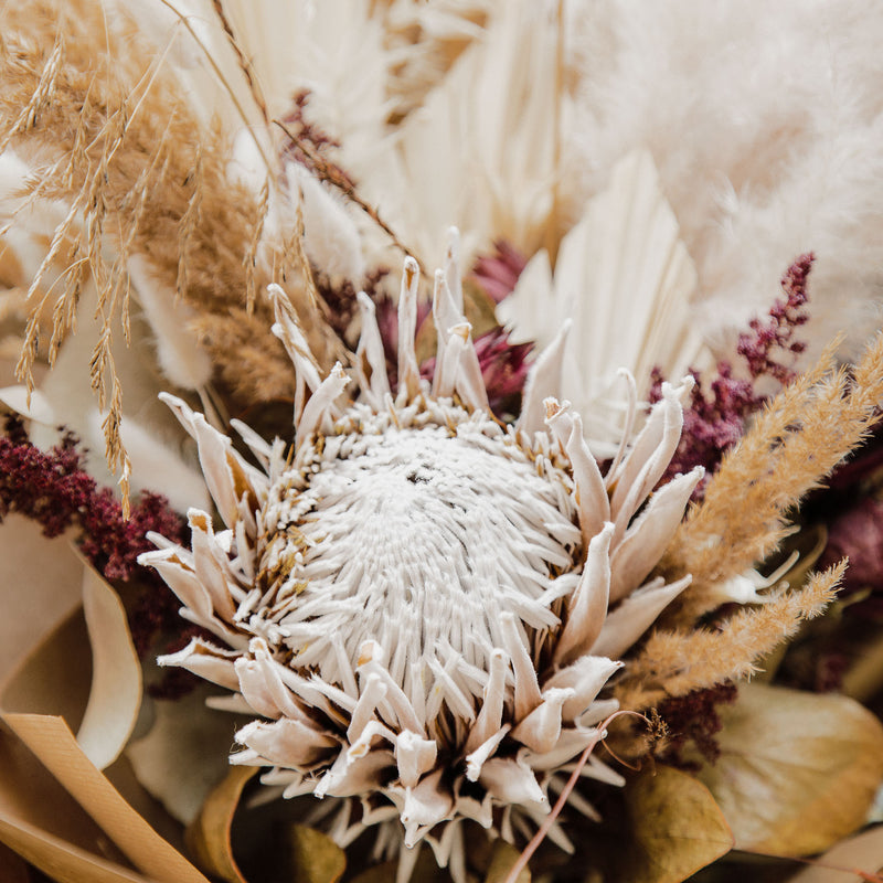 Protea Vesper Bouquet