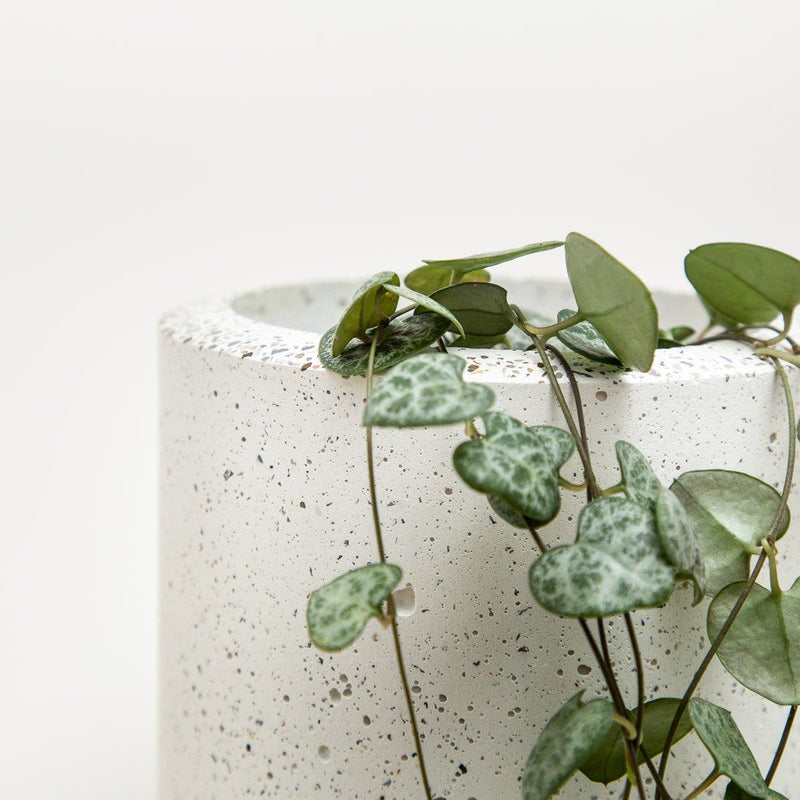 Large Concrete Planter - garden - shop online uk | Travelling Basket