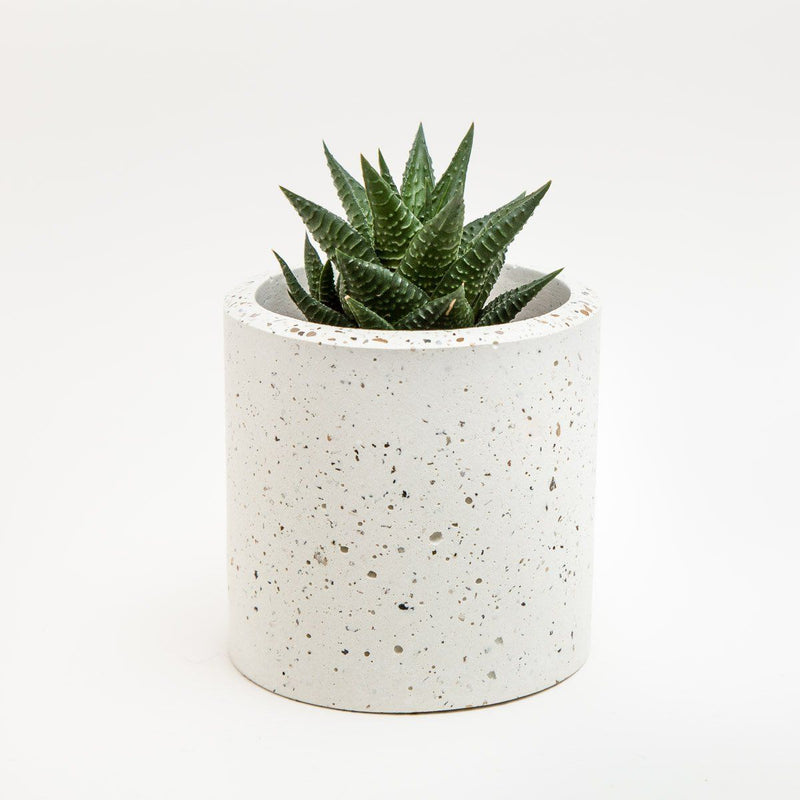 Medium Concrete Planter - garden - shop online uk | Travelling Basket