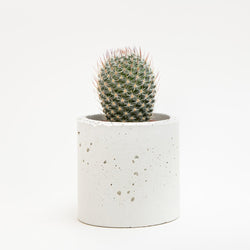 Small Concrete Planter - garden - shop online uk | Travelling Basket